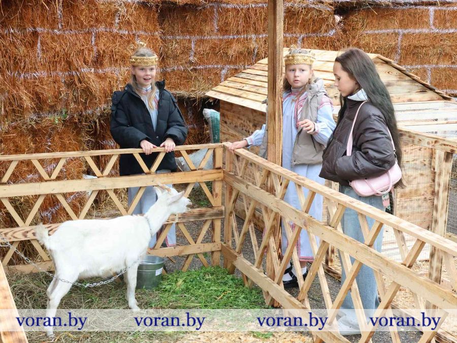 изображение_viber_2026-09-26_12-06-59-354.jpg
