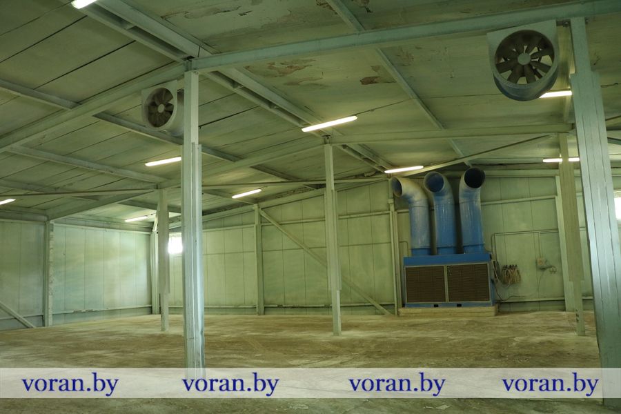 1C9A1148.JPG