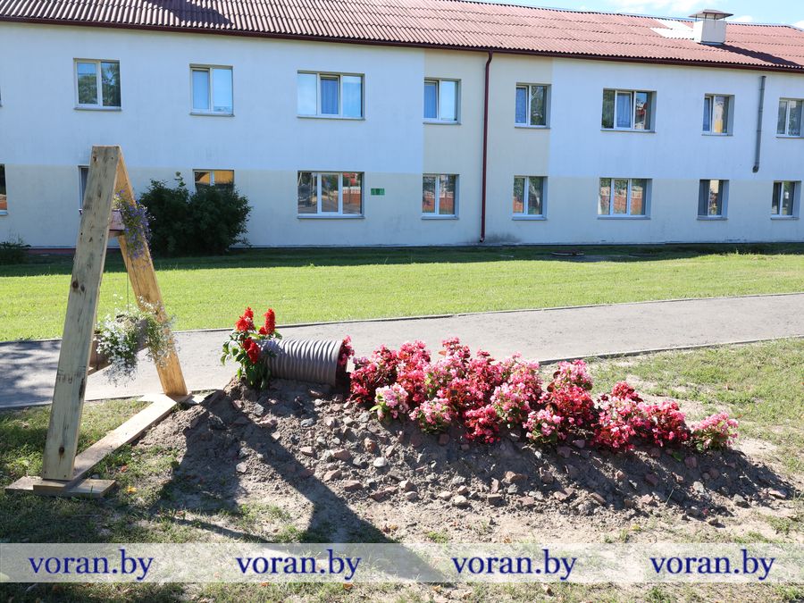 2F1A2223.JPG