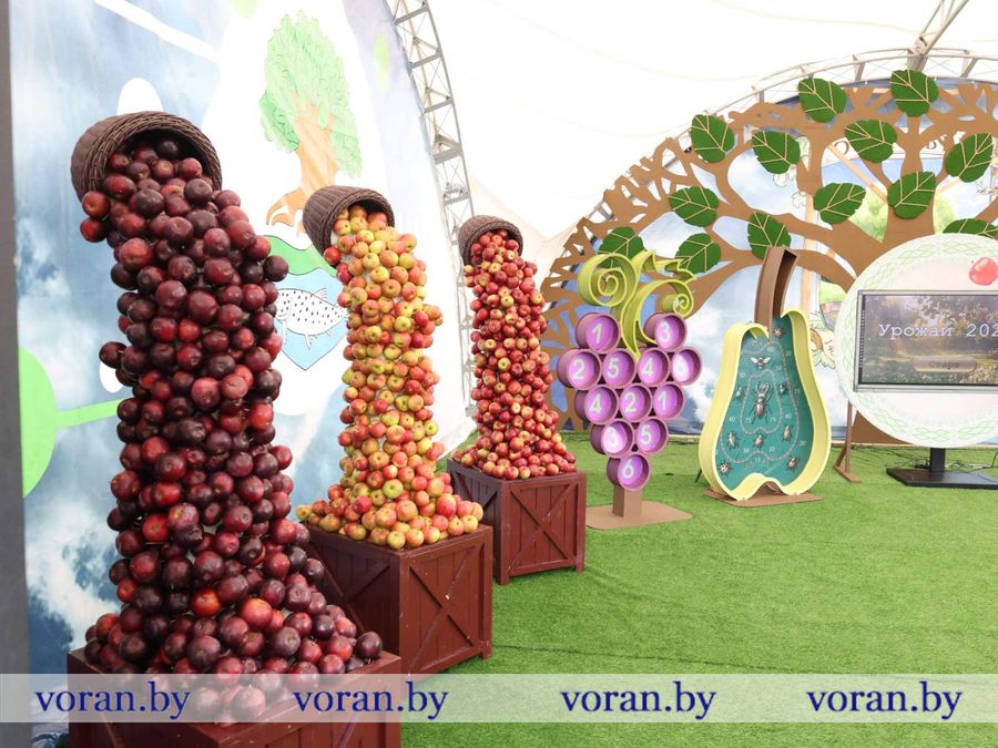изображение_viber_2026-09-26_11-56-03-628.jpg