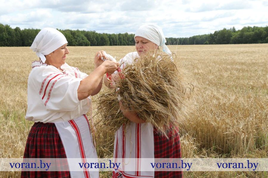 изображение_viber_2023-07-20_13-09-04-297.jpg изображение_viber_2023-07-20_13-09-04-297.jpg