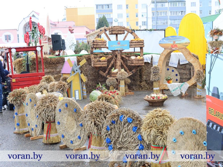 изображение_viber_2026-09-26_11-51-59-203.jpg