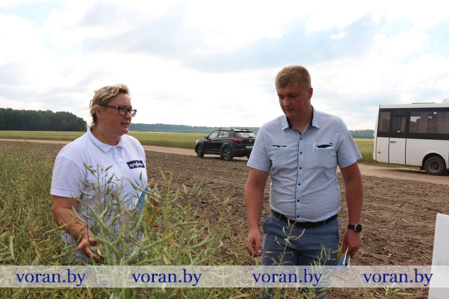 изображение_viber_2023-06-30_14-49-47-240.jpg изображение_viber_2023-06-30_14-49-47-240.jpg