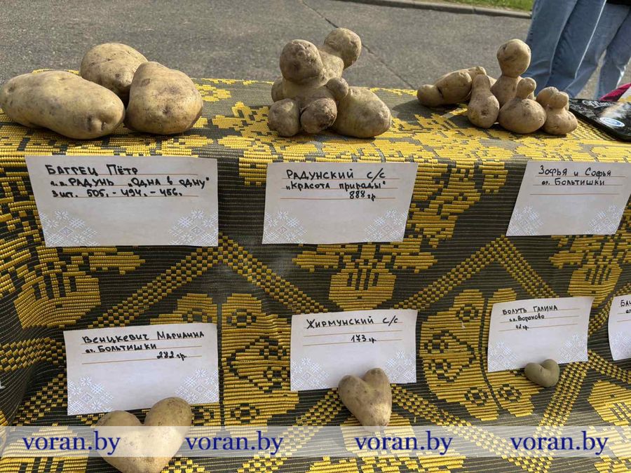 изображение_viber_2025-09-27_18-07-18-065.jpg изображение_viber_2025-09-27_18-07-18-065.jpg