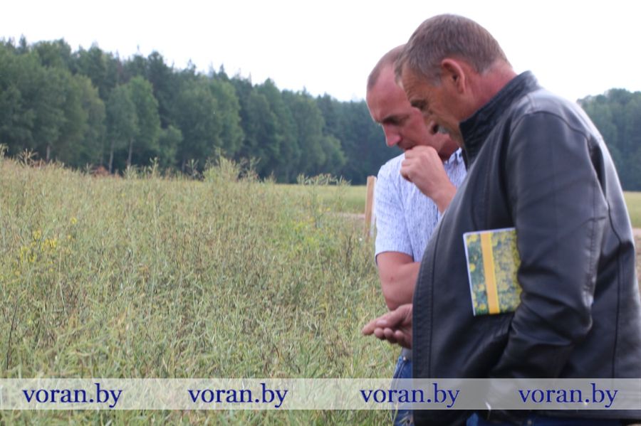 изображение_viber_2023-06-30_14-49-24-625.jpg изображение_viber_2023-06-30_14-49-24-625.jpg