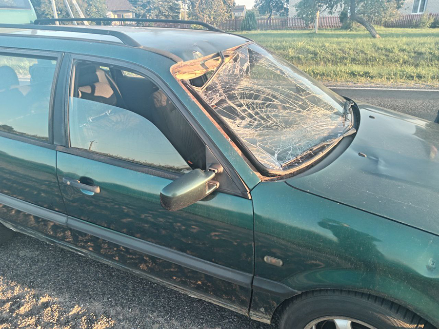 изображение_viber_2024-08-08_12-40-08-009.jpg изображение_viber_2024-08-08_12-40-08-009.jpg