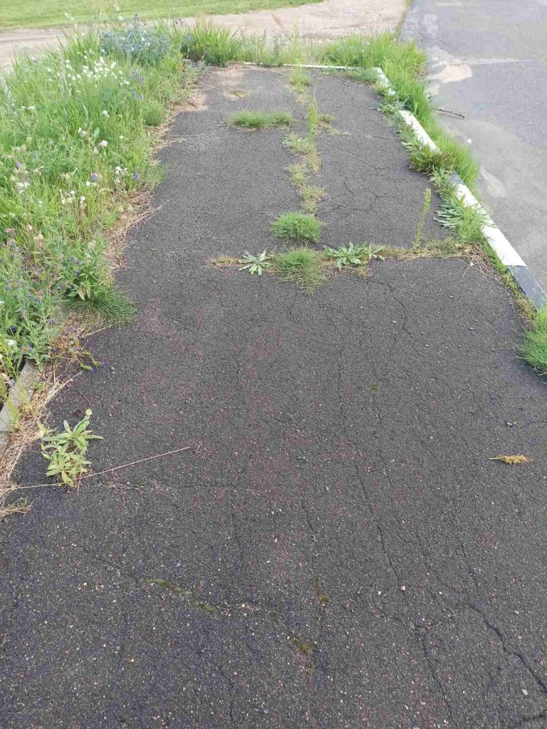 изображение_viber_2023-08-14_11-53-02-961.jpg изображение_viber_2023-08-14_11-53-02-961.jpg