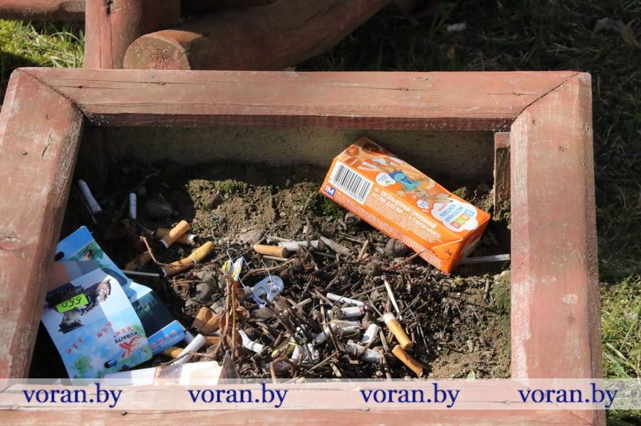 изображение_viber_2024-03-27_15-00-08-335.jpg изображение_viber_2024-03-27_15-00-08-335.jpg