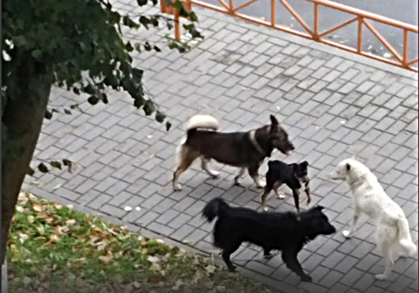 Screenshot_3.jpg Screenshot_3.jpg