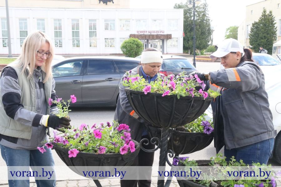 изображение_viber_2026-05-20_12-48-46-643.jpg