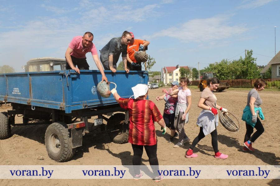 изображение_viber_2024-05-18_13-27-23-526.jpg изображение_viber_2024-05-18_13-27-23-526.jpg