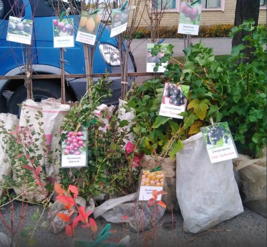 Screenshot_5.jpg Screenshot_5.jpg