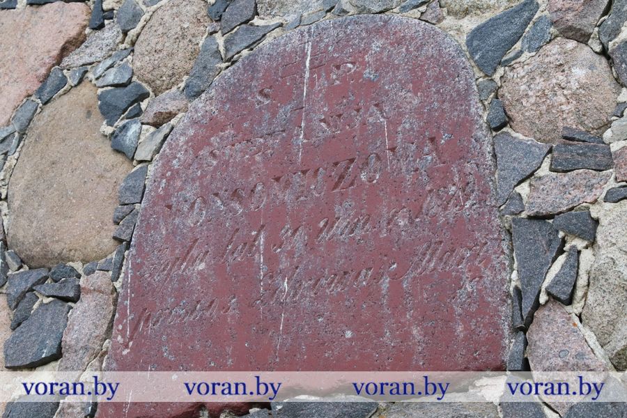 1C9A8406.JPG