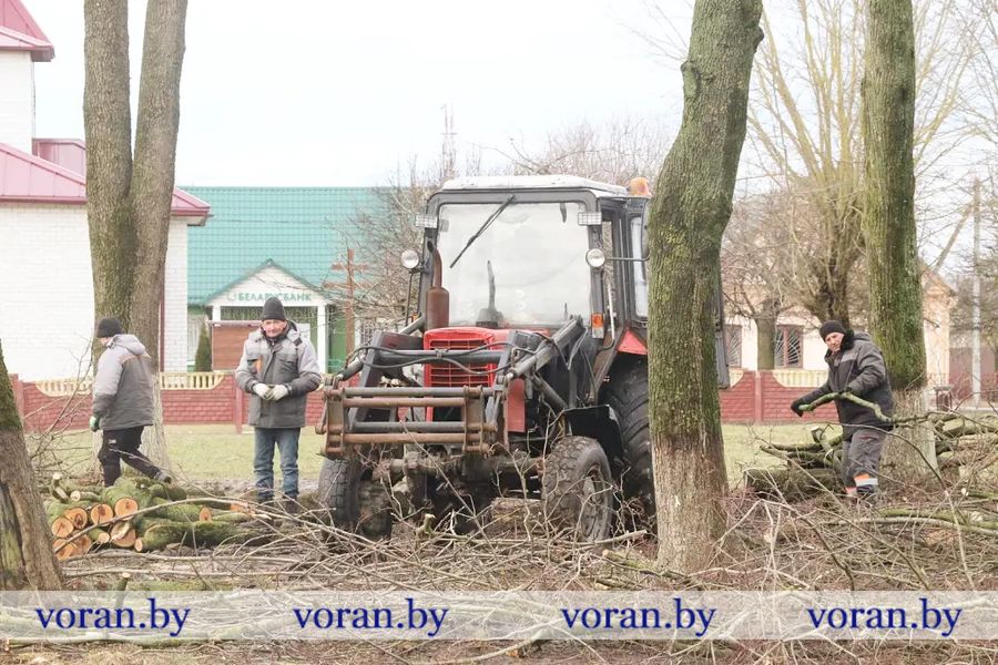 изображение_viber_2023-03-14_14-33-12-071.jpg изображение_viber_2023-03-14_14-33-12-071.jpg