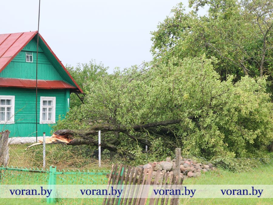 2F1A9502.JPG
