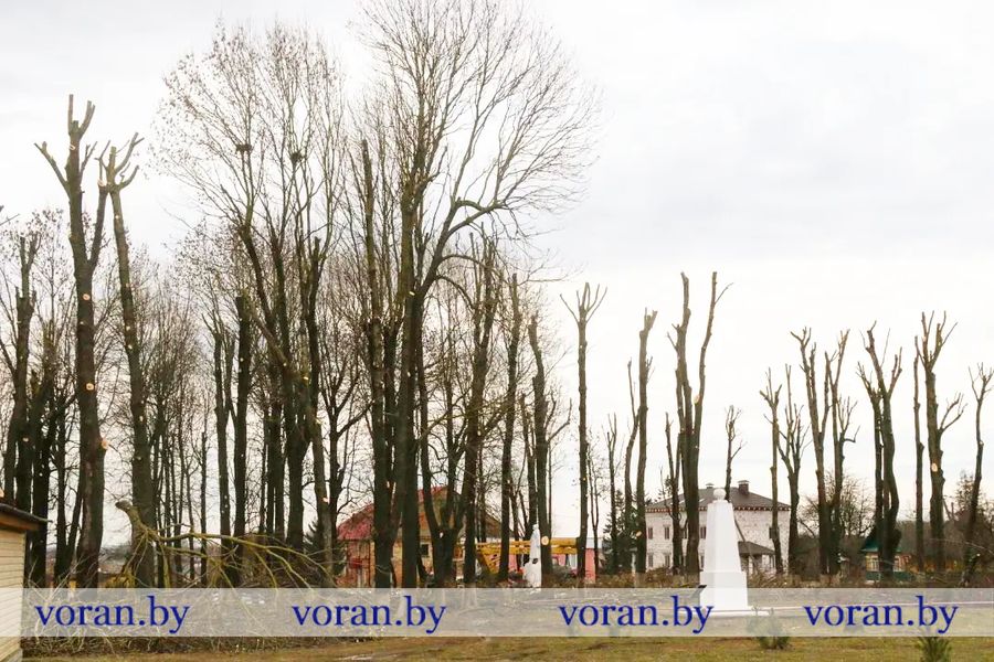 изображение_viber_2023-03-14_14-33-12-105.jpg изображение_viber_2023-03-14_14-33-12-105.jpg