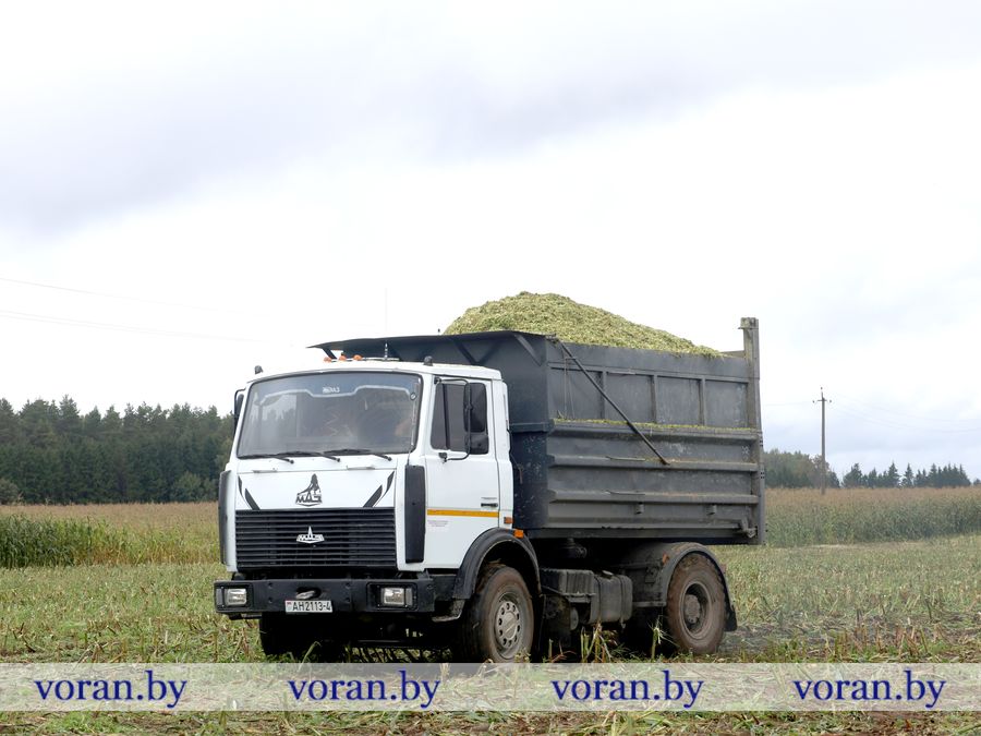 2F1A8687.JPG