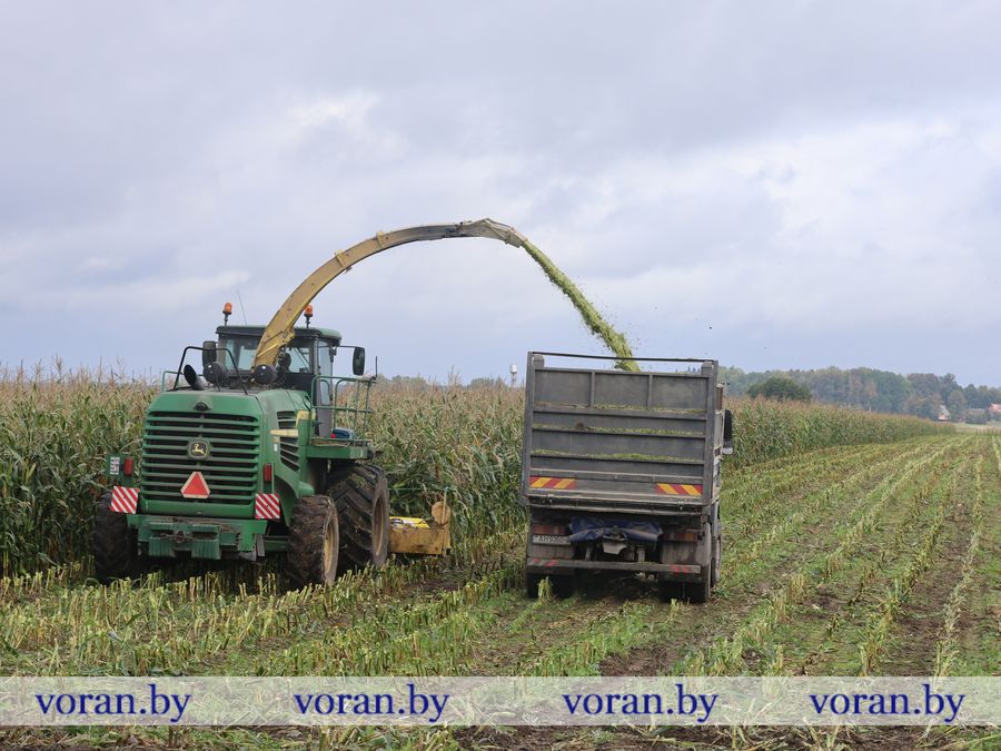 2F1A8709.JPG