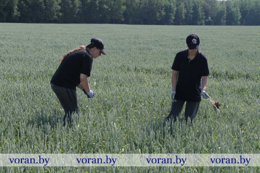 изображение_viber_2023-06-22_16-25-00-966.jpg изображение_viber_2023-06-22_16-25-00-966.jpg