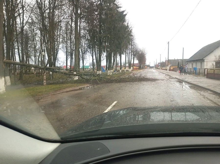 изображение_viber_2022-01-14_13-20-25-463.jpg изображение_viber_2022-01-14_13-20-25-463.jpg