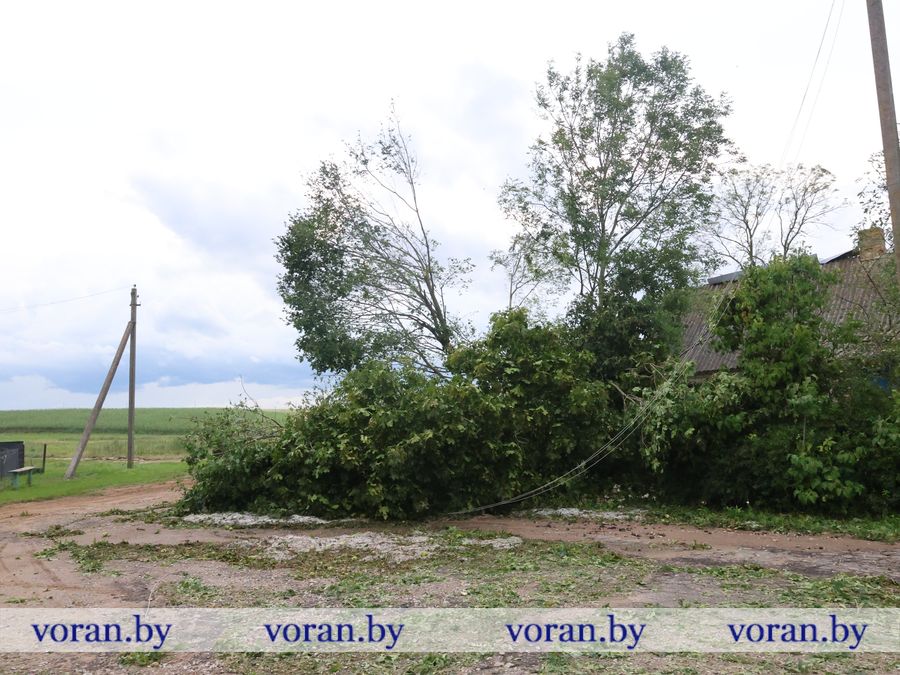2F1A9704.JPG