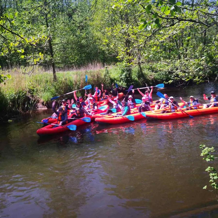 изображение_viber_2023-05-22_10-09-55-883.jpg изображение_viber_2023-05-22_10-09-55-883.jpg