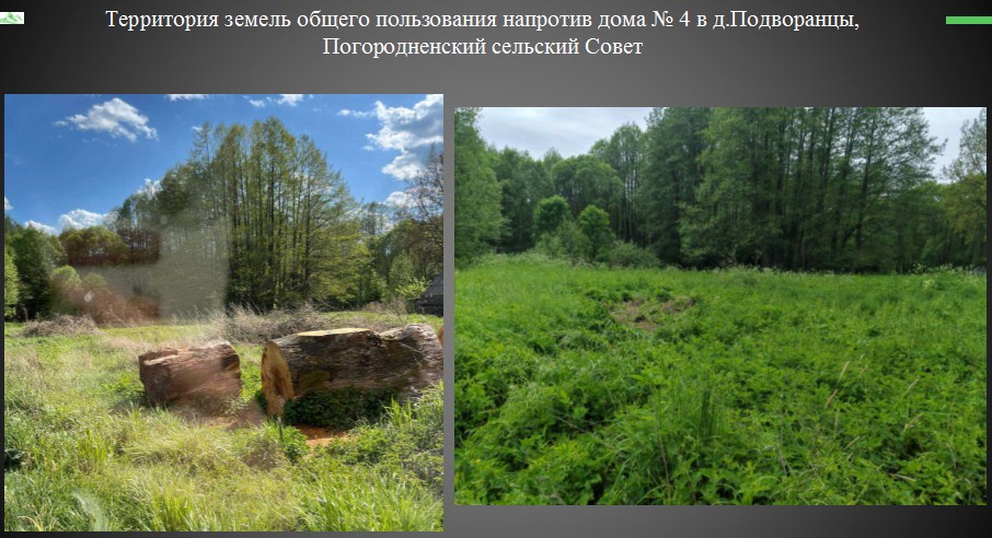 Подворанцы.jpg Подворанцы.jpg