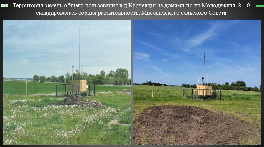 Курчевцы.jpg Курчевцы.jpg