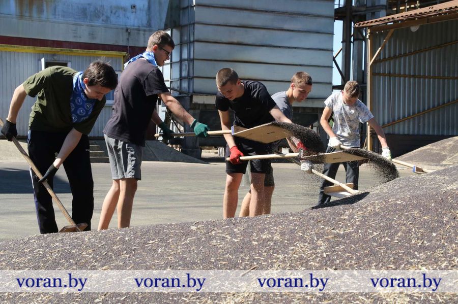 изображение_viber_2024-08-10_14-55-55-104.jpg изображение_viber_2024-08-10_14-55-55-104.jpg