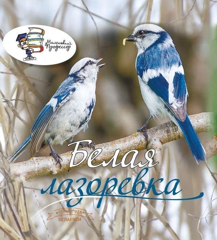 белая лазоревка.jpg белая лазоревка.jpg
