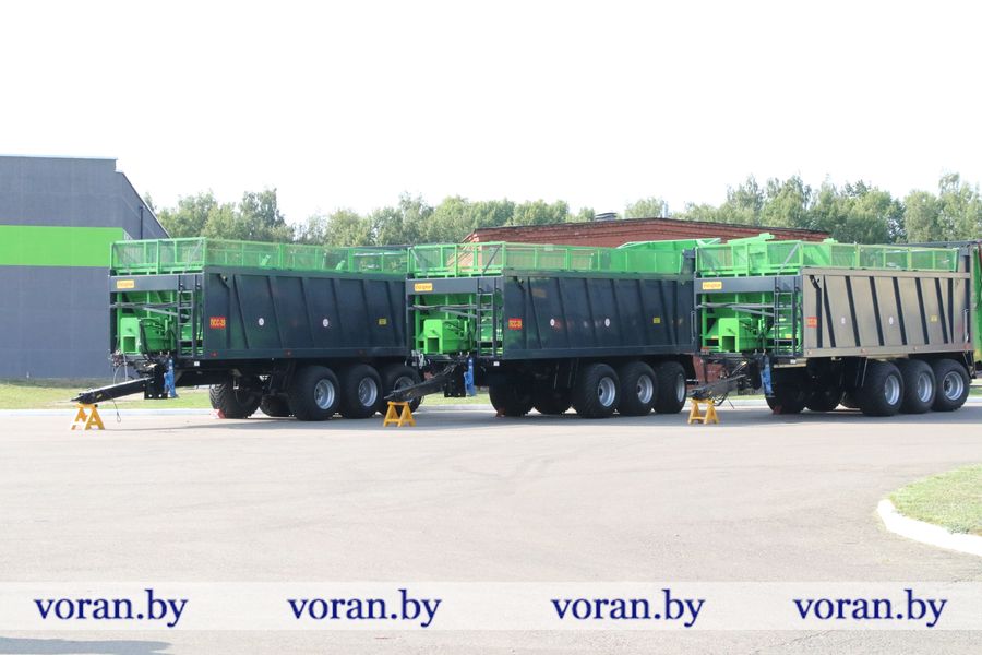 1C9A4113.JPG