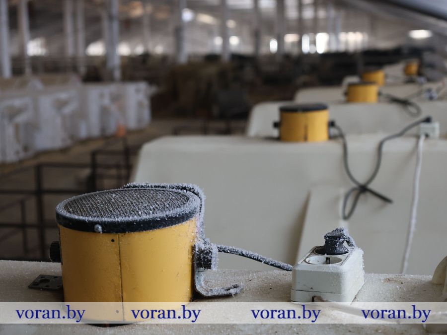 2F1A1278.JPG