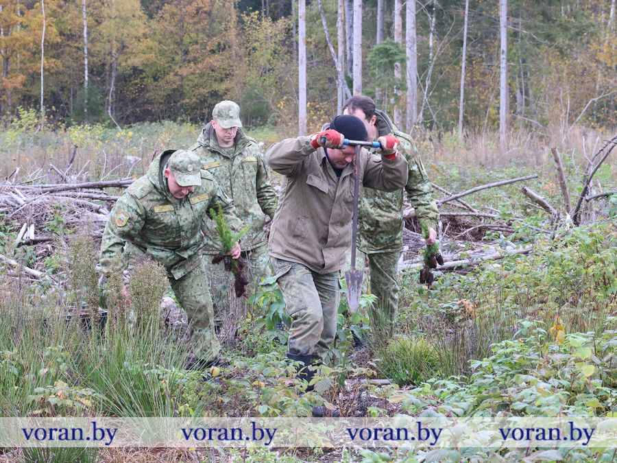 2F1A2626.JPG