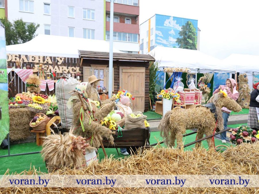 изображение_viber_2026-09-26_11-56-03-057.jpg
