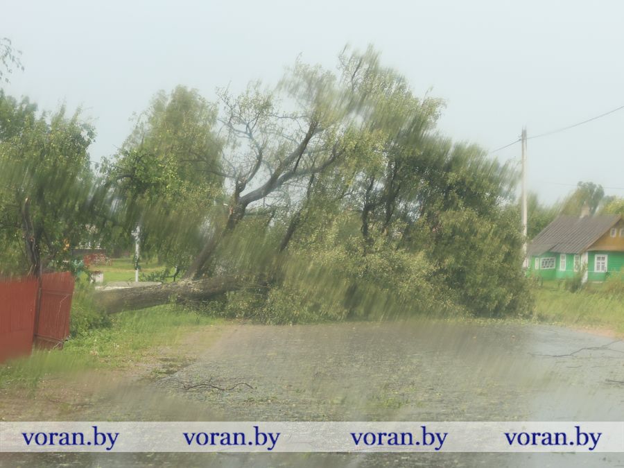 2F1A9496.JPG
