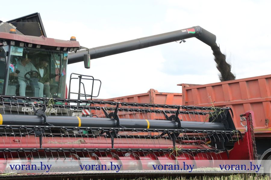 изображение_viber_2024-08-10_14-55-54-820.jpg изображение_viber_2024-08-10_14-55-54-820.jpg