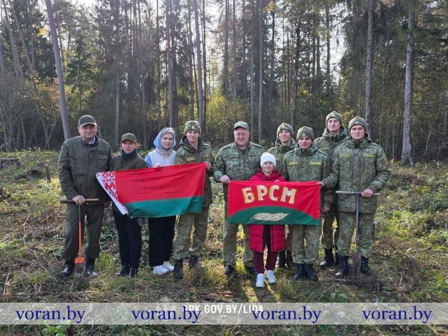 изображение_viber_2025-10-22_15-33-03-206.jpg