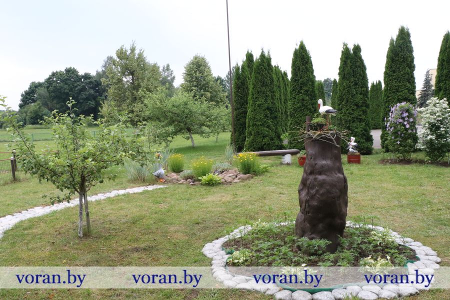 жирмуны 2.JPG