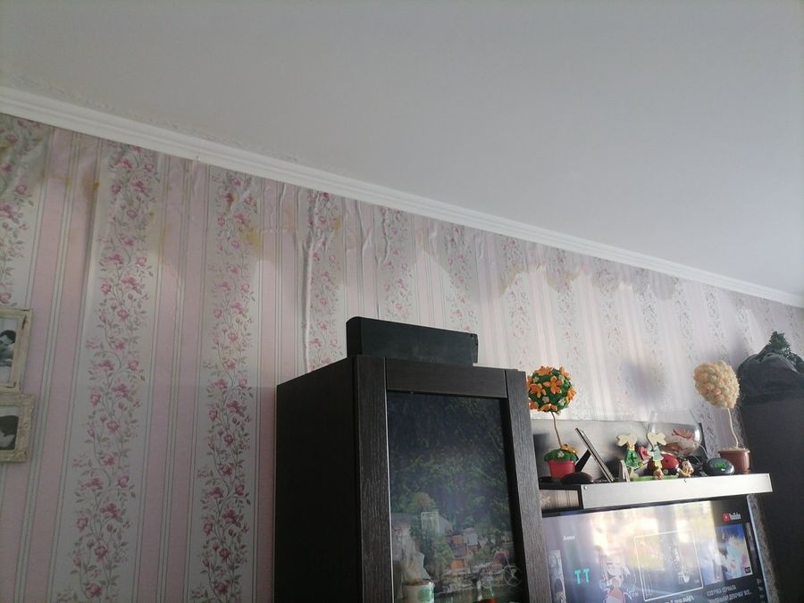 изображение_viber_2022-10-04_16-46-38-197.jpg изображение_viber_2022-10-04_16-46-38-197.jpg