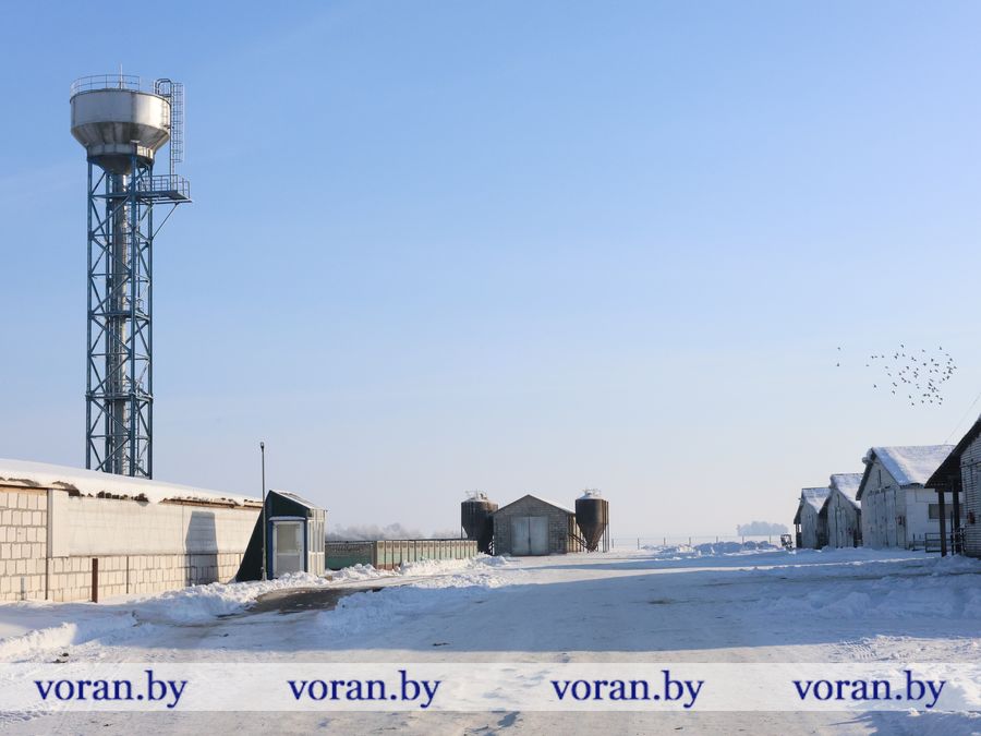 2F1A1309.JPG