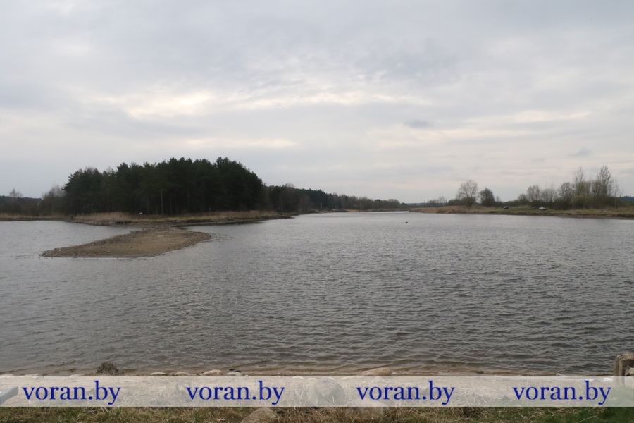1C9A5949.JPG