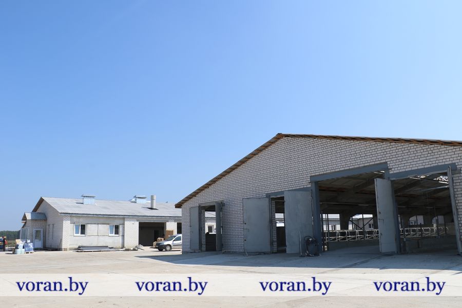 1C9A5406.JPG