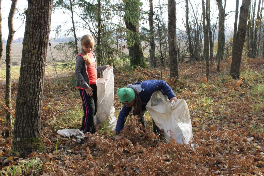 изображение_viber_2021-10-09_10-43-25-788.jpg изображение_viber_2021-10-09_10-43-25-788.jpg