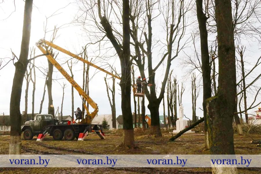 изображение_viber_2023-03-14_14-32-58-342.jpg изображение_viber_2023-03-14_14-32-58-342.jpg