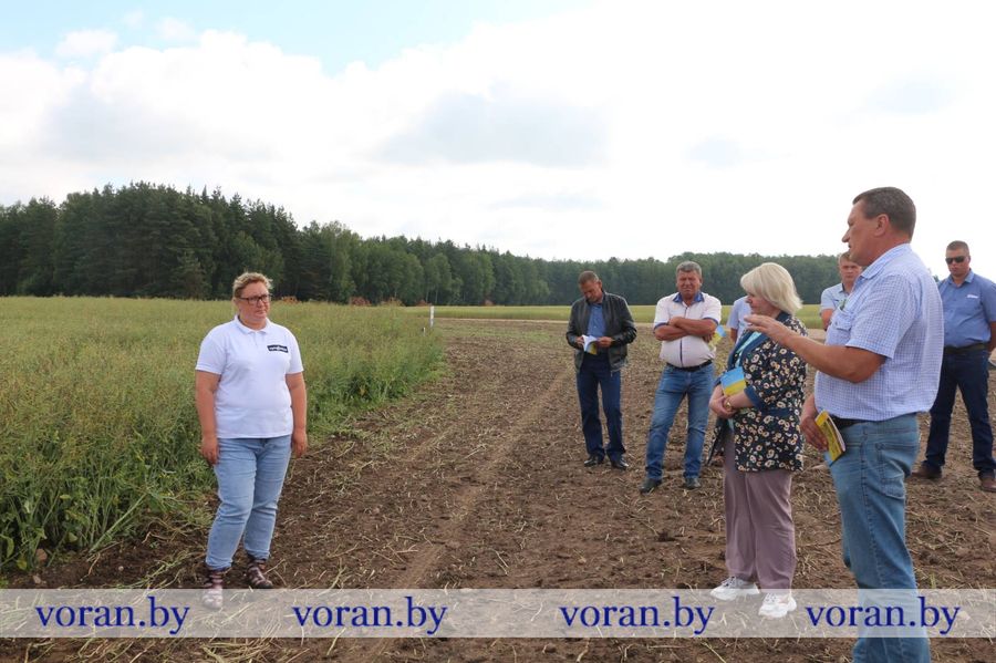 изображение_viber_2023-06-30_14-49-11-892.jpg изображение_viber_2023-06-30_14-49-11-892.jpg