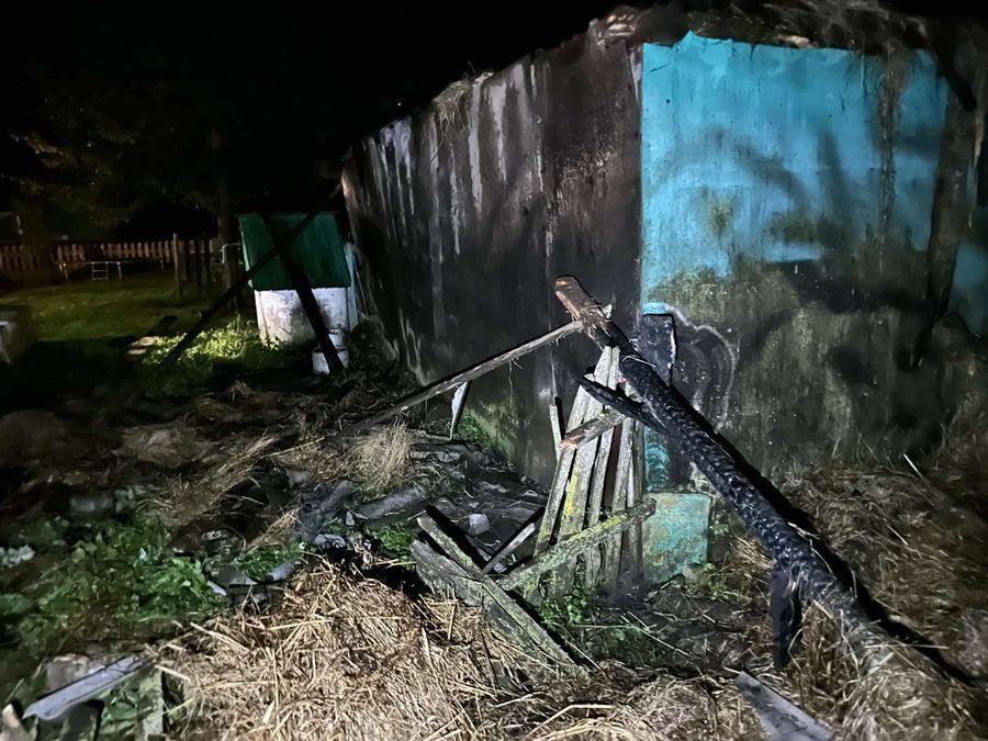 изображение_viber_2024-08-16_08-43-06-060.jpg изображение_viber_2024-08-16_08-43-06-060.jpg