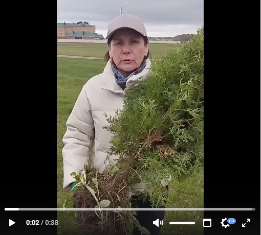 Screenshot_68 (2).jpg