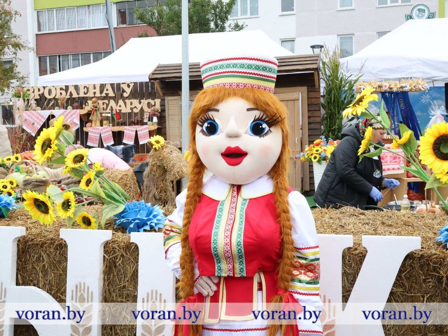 изображение_viber_2026-09-26_11-56-03-115.jpg