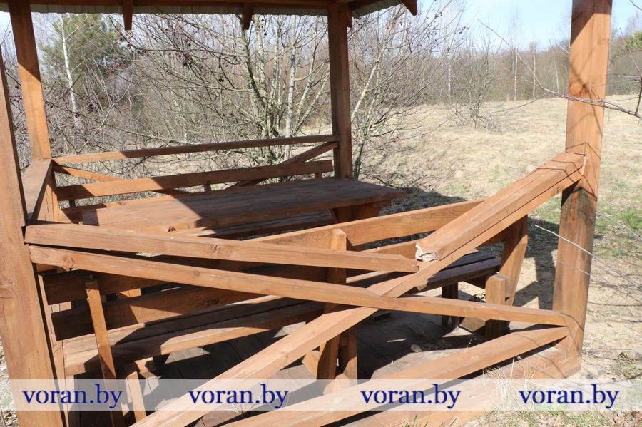 изображение_viber_2024-03-27_15-00-24-635.jpg изображение_viber_2024-03-27_15-00-24-635.jpg