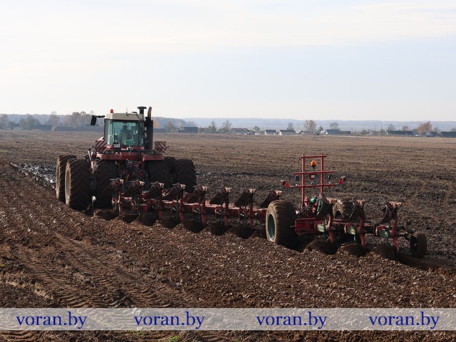 2F1A0409.JPG